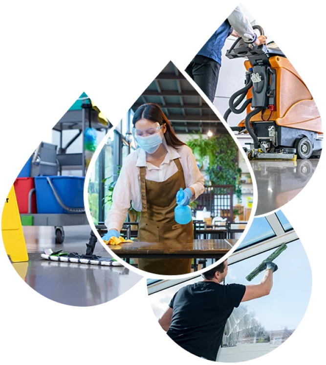 <span>Entreprise de nettoyage : </span>Industriels, Pro - Particuliers <br />& Services Associés <br />GERS ET HAUTE-GARONNE